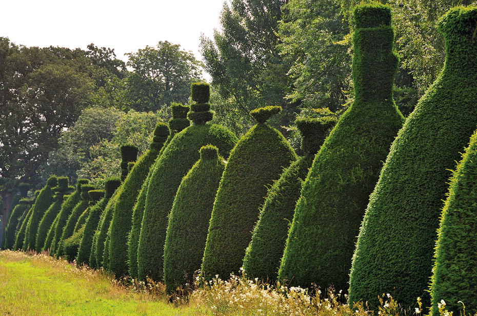 Topiary