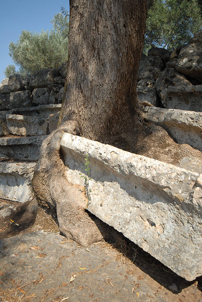 Sedir Adası