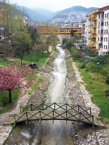 Irgandı Köprüsü, Ali Yıldız