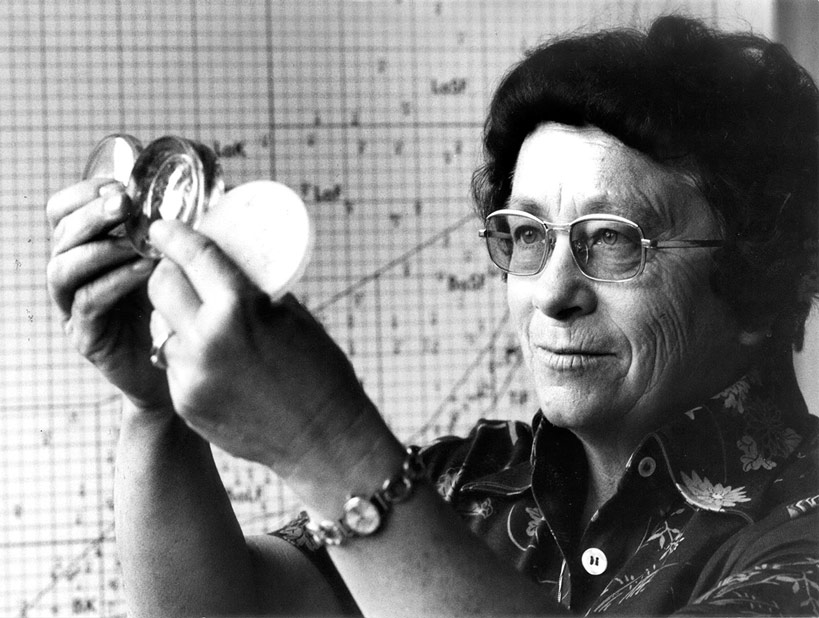 Marga Faulstich, gözlük camı
