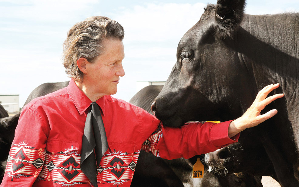 Temple Grandin, sarılma kutusu