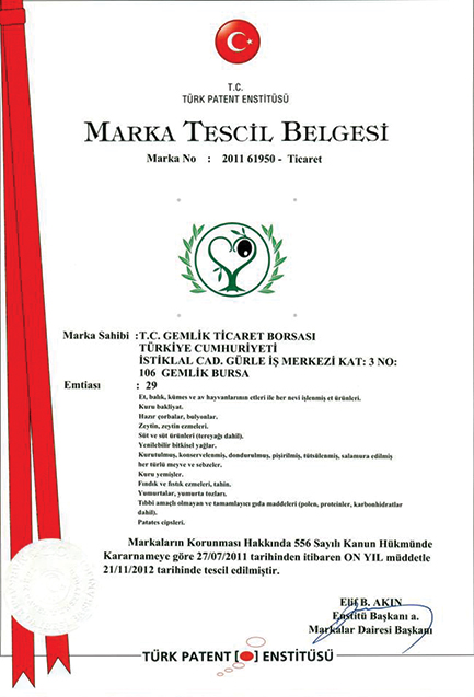 Türk Patent Enstitüsü - Gemlik Zeytini Marka Tescil Belgesii