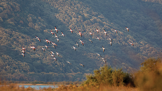 Alper Tüydeş fotoğrafları