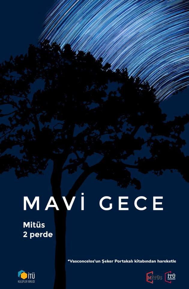 Mavi Gece