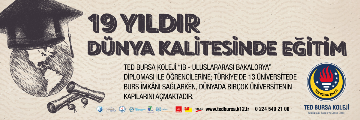 Martıya Uçmayı Öğreten Kedi Özeti Kisa
