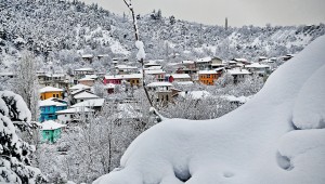 Misi Köyü - Güven Orman, Ocak 2013