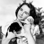 Annex, Elizabeth Taylor (National-Velvet)