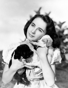 Annex, Elizabeth Taylor (National-Velvet)