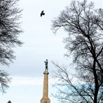 Belgrad, Özgür Çakır