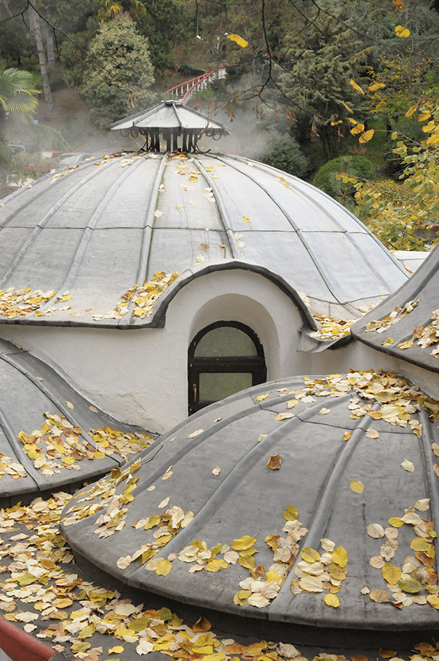 Yalova Termal, Engin Çakır