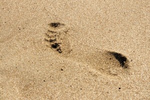 Patara Plajı, Engin Çakır