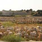 Patara Antik Kenti, Engin Çakır