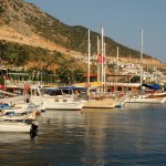 Kalkan, Engin Çakır