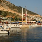 Kalkan, Engin Çakır