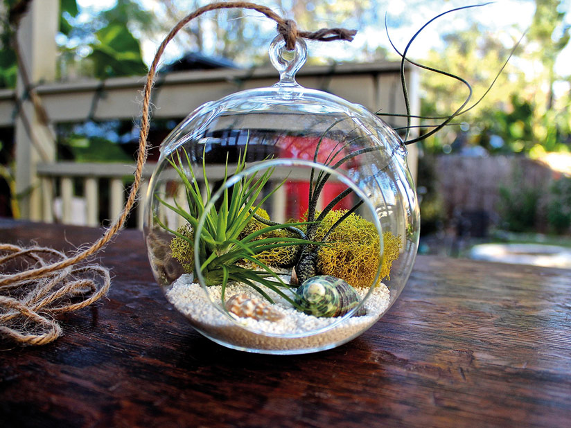 Terrarium