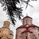 Tiflis, Özgür Çakır