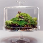 Terrarium