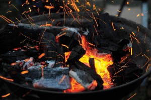Mangal, Engin Çakır