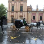 Sevilla, Özgür Çakır