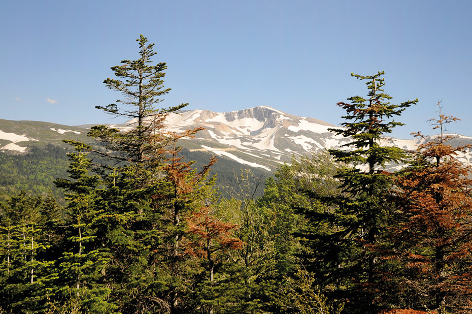 Uludağ, Engin Çakır