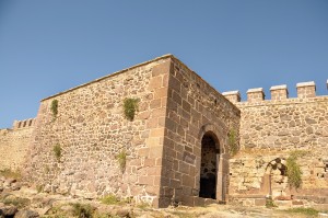 Babakale, Engin Çakır