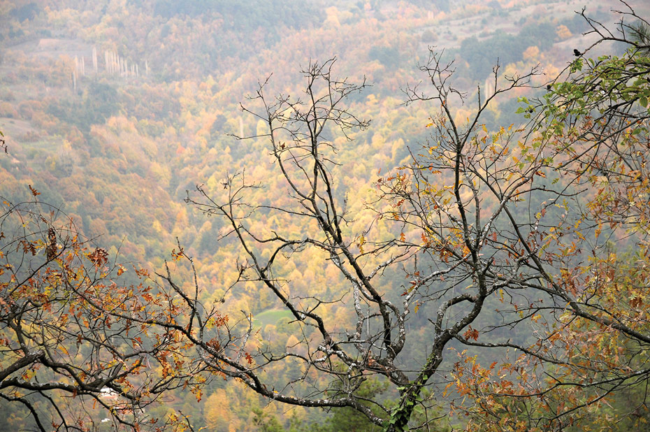 Aralık 2012- Doğancı Köyü, 2012 Engin Çakır