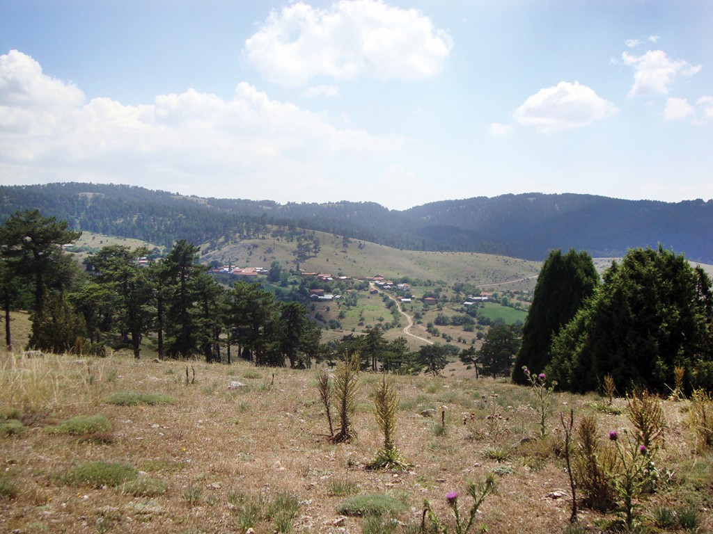 Camiliyayla Köyü, Gökay Mutlu