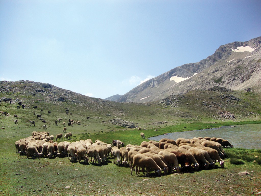 Aynalıgöl, Gökay Mutlu