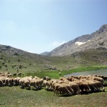 Aynalıgöl, Gökay Mutlu