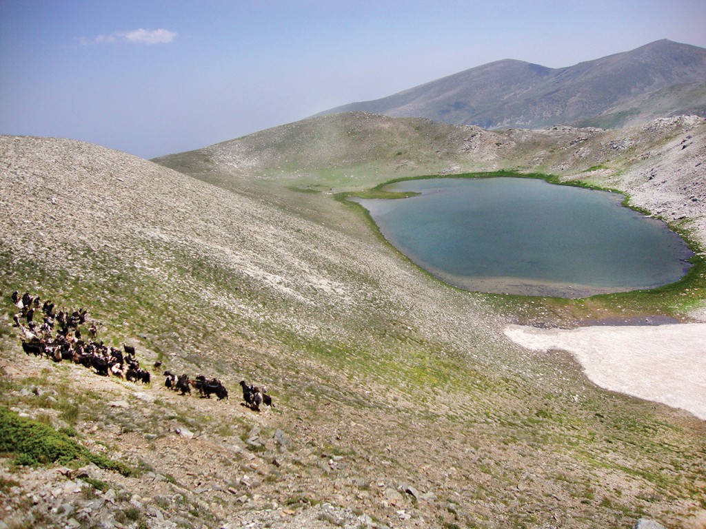 Aynalıgöl, Gökay Mutlu