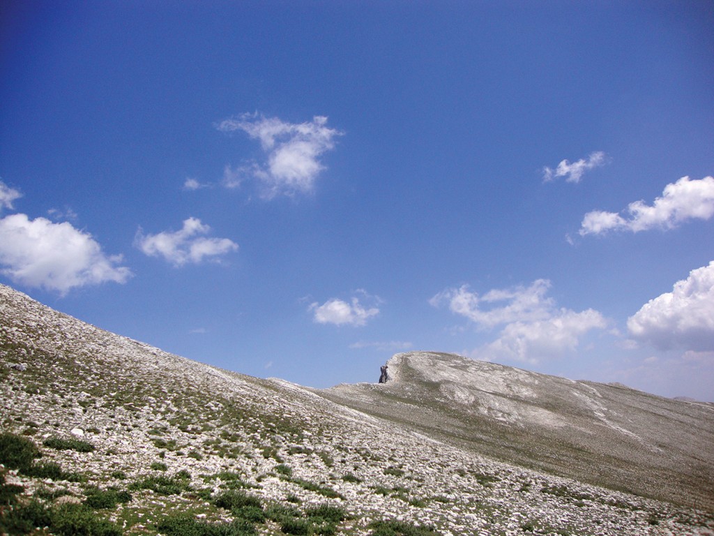 Gökay Mutlu