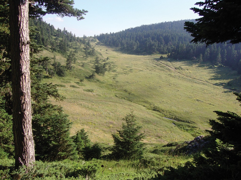 Kömürsu Yaylası, Gökay Mutlu