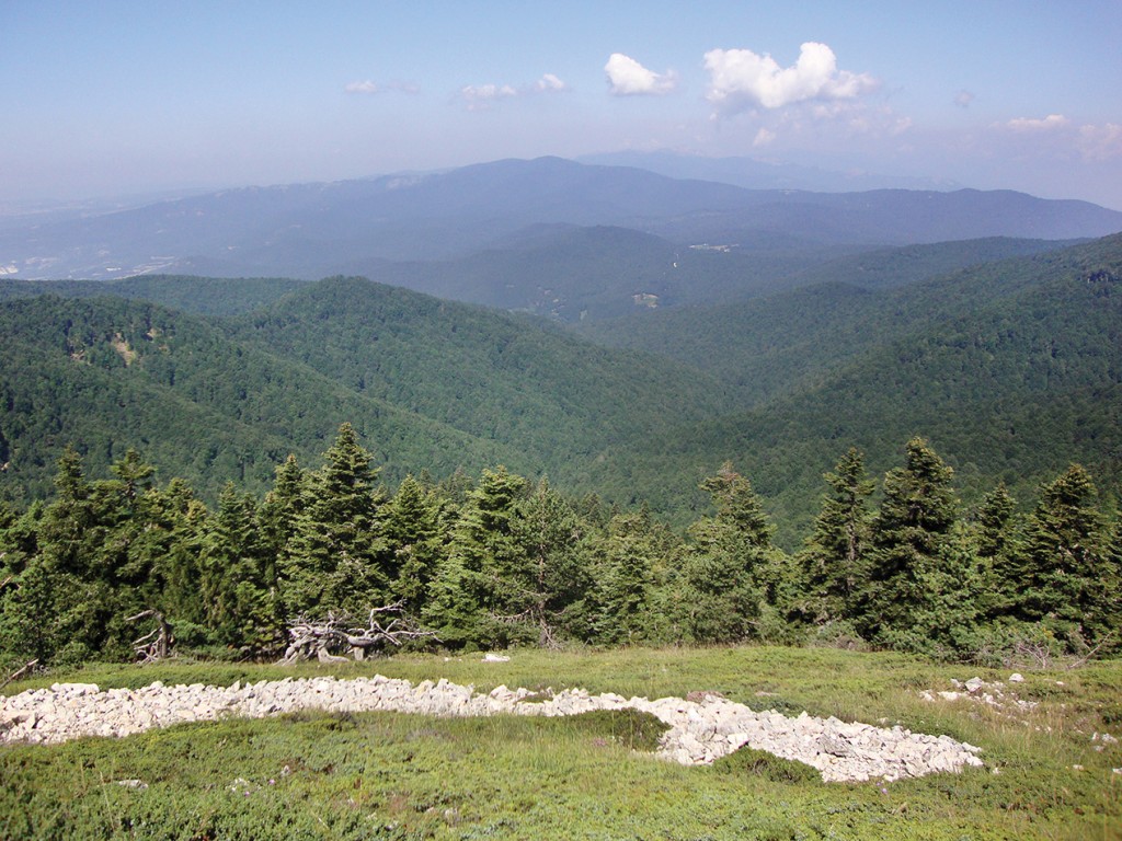 Domaniç Dağları, Gökay Mutlu