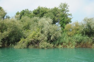 Manavgat'ta dalış, Engin Çakır