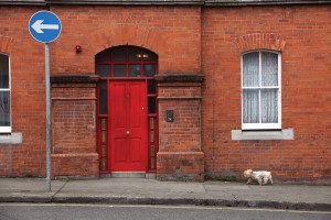 Dublin - Özgür Çakır