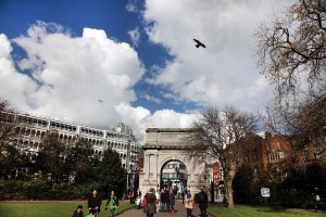 Dublin - Özgür Çakır