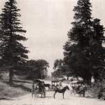 Çekirge Yolu, 1894