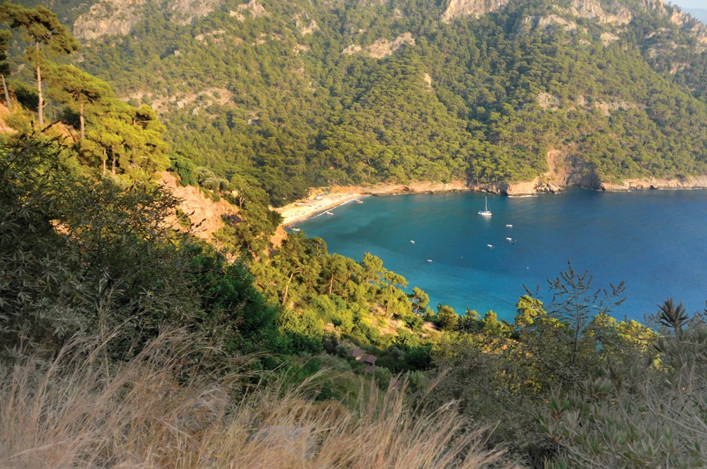 Kabak Koyu - Engin Çakır