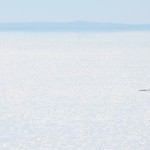 Tuz Gölü, Samet Şevik
