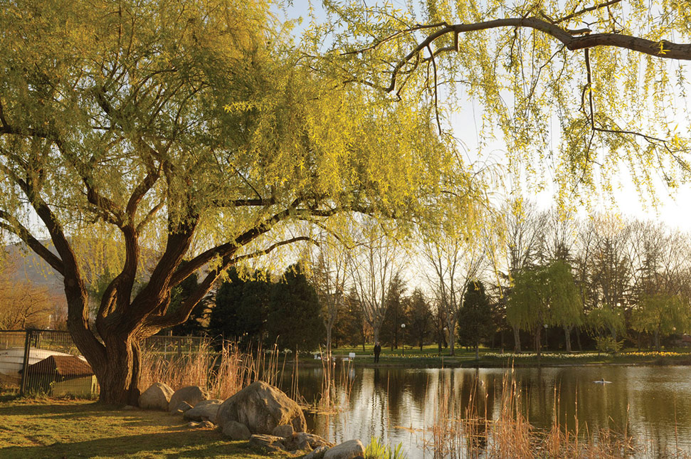 Bursa Botanik Park - Engin Çakır