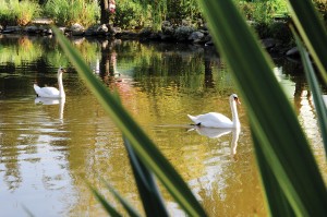 Bursa Hayvanat Bahçesi - Bursa Zoo - Engin Çakır