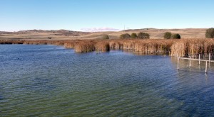 Hafik Gölü - Arzu Özel