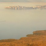 Uluabat Gölü ve Gölyazı, Engin Çakır, Aralık 2013
