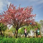 Aytül Akbaş, Soğanlı Botanik Parkı, 04.04.2014