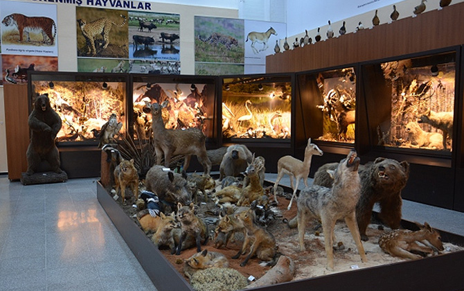 Bursa Zooloji Müzesi